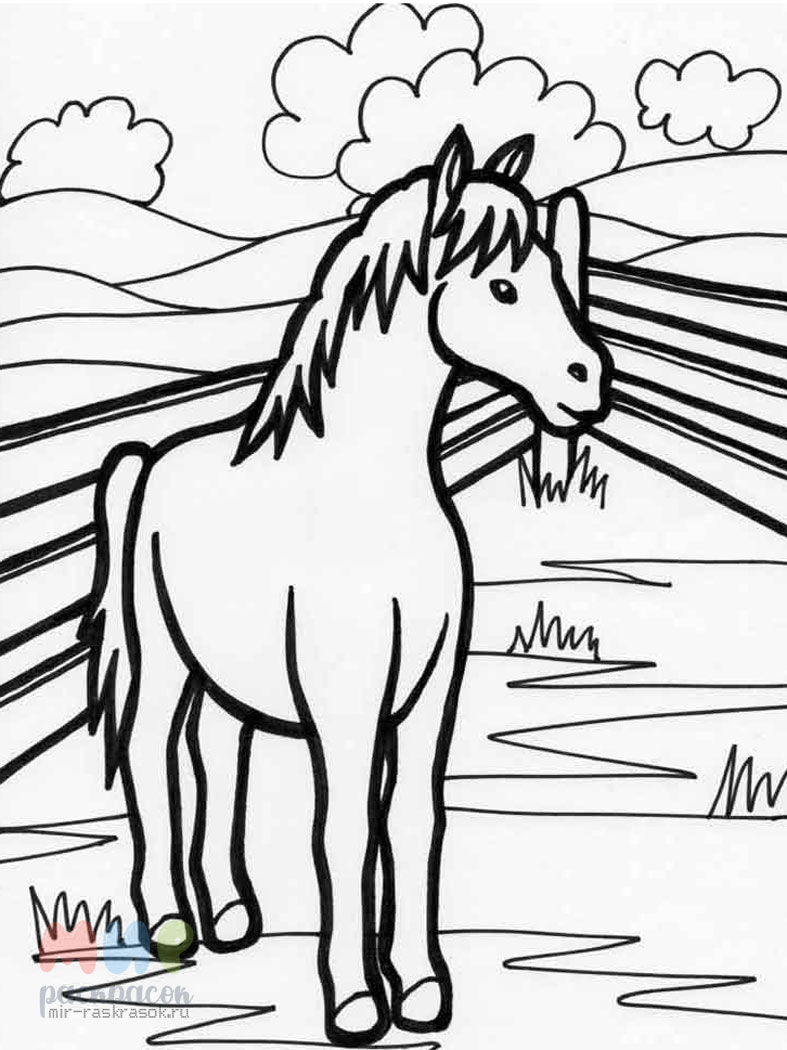 Раскраски для, Раскраска Лошадка для детей лошадка Лошадка.
