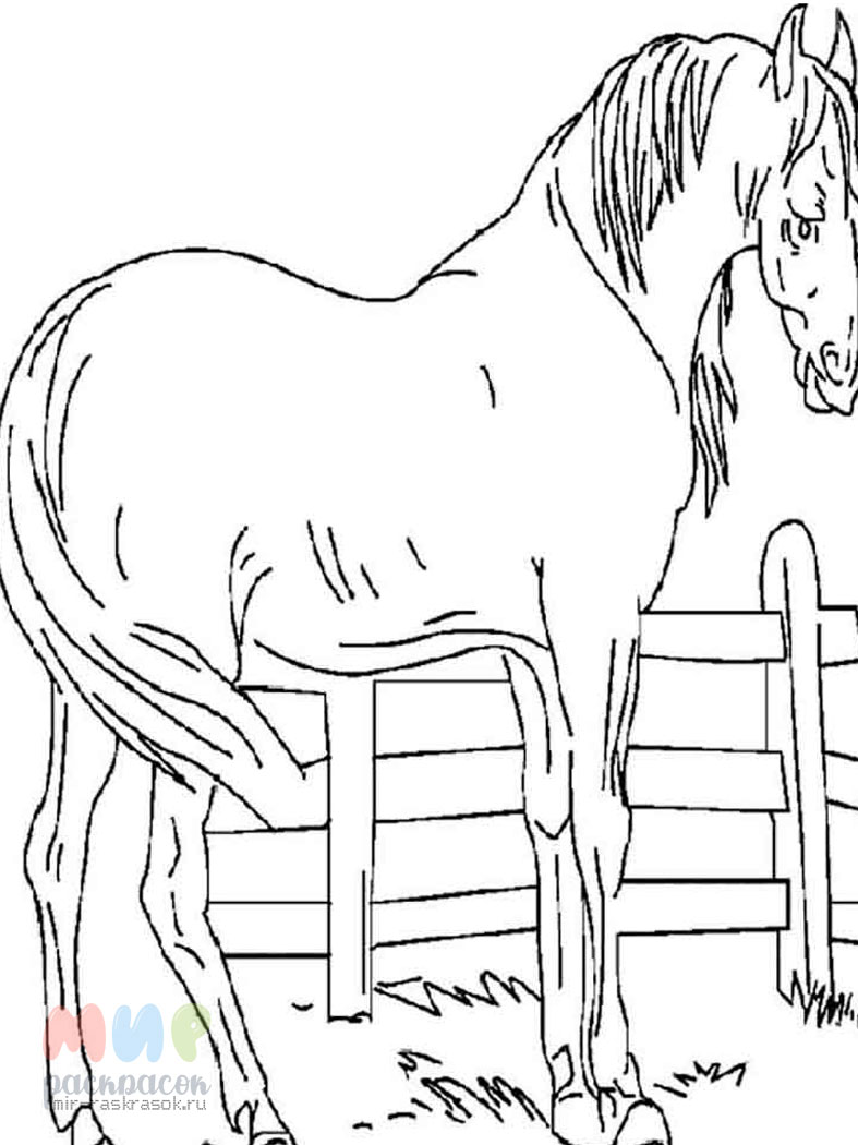 Раскраска лошадка Изображения – скачать бесплатно на Freepik