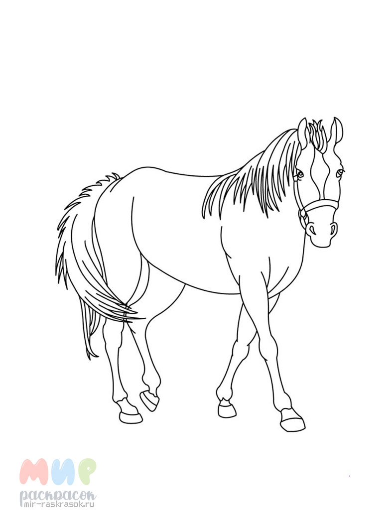 Раскрасить лошадку. Раскраска. Лошади. Лошадь для раскрашивания. Лошадь раскраска для детей. Лошадь картинка для детей раскраска.