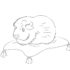 Картинка раскраски 10 - Раскраска Морская свинка полосатая спинка.
