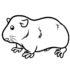 Картинка раскраски 11 - Раскраска Морская свинка полосатая спинка.