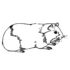 Картинка раскраски 12 - Раскраска Морская свинка полосатая спинка.