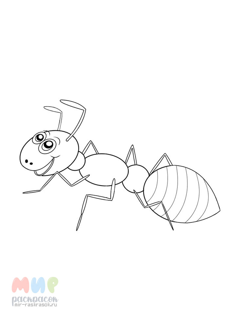 Рисунки карандашом муравей (24 фото)