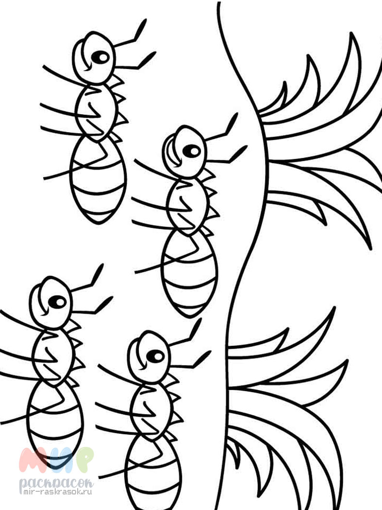 Раскраска насекомые для детей 7 лет. Муравей раскраска. Муравей раскраска для детей. Насекомые раскраска для детей. Раскраска насекомые для дошкольников.