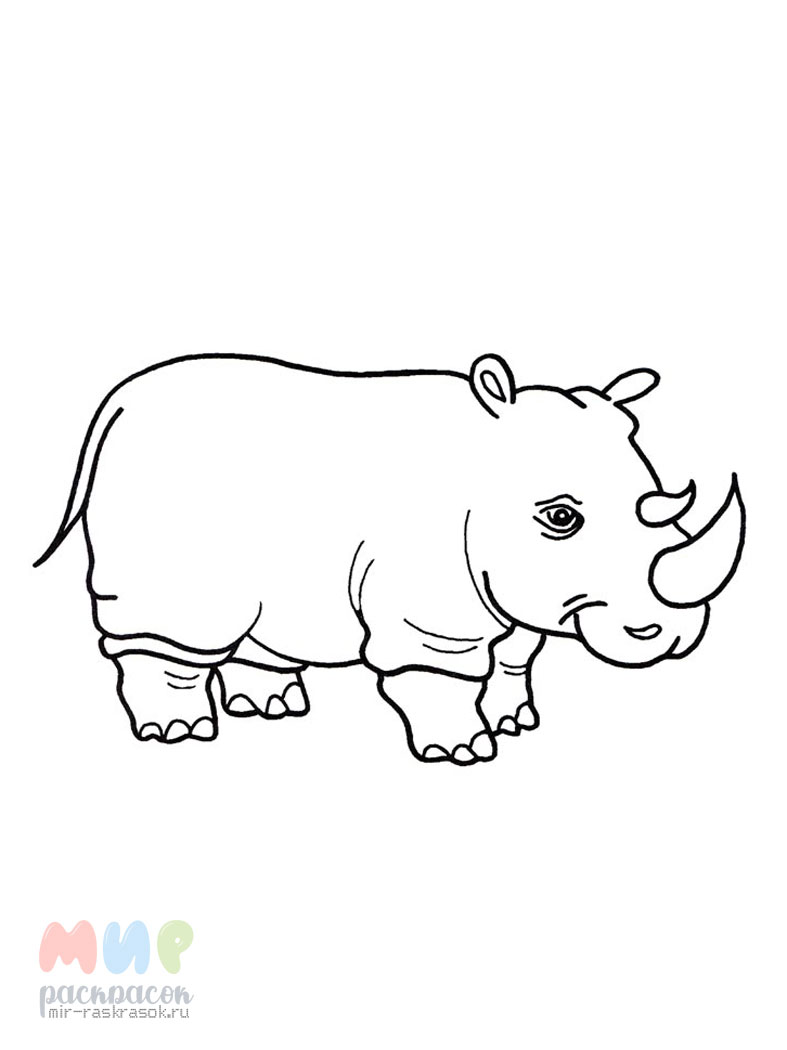 Раскраски носорог, Раскраска Носорог на прогулке Дикие животные.