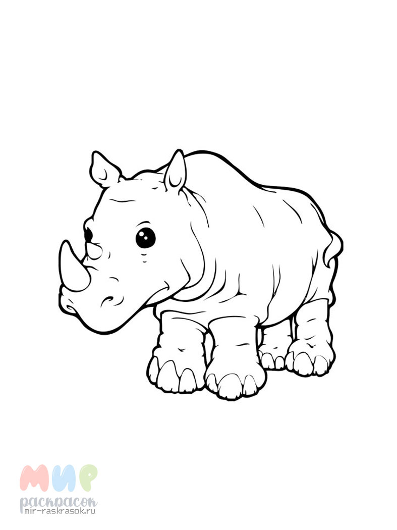 Носорог раскраска для детей