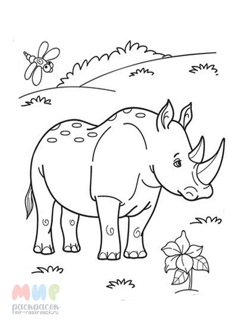 Раскраски Носорог. Скачать или распечатать раскраски Носорог