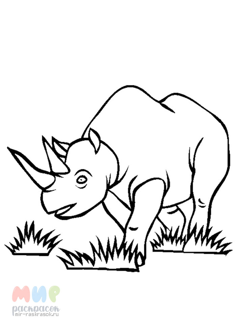 Раскраски носорог, Раскраска носорог для детей Дикие животные.