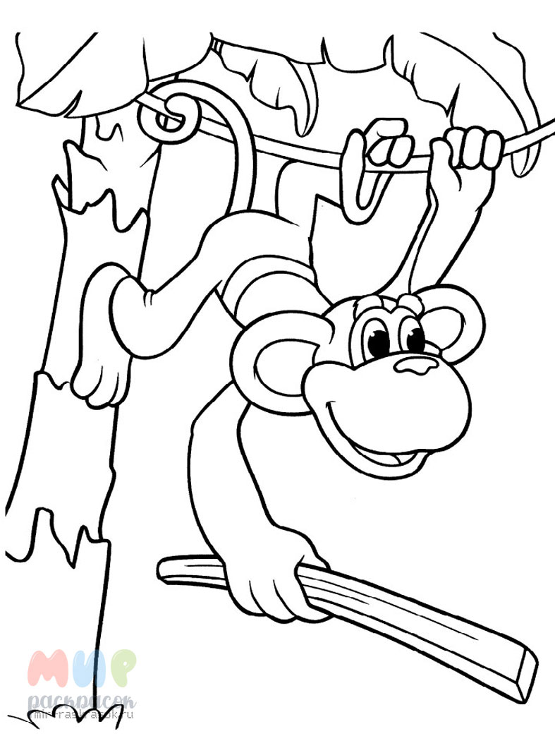 Мультфильм обезьянки картинки