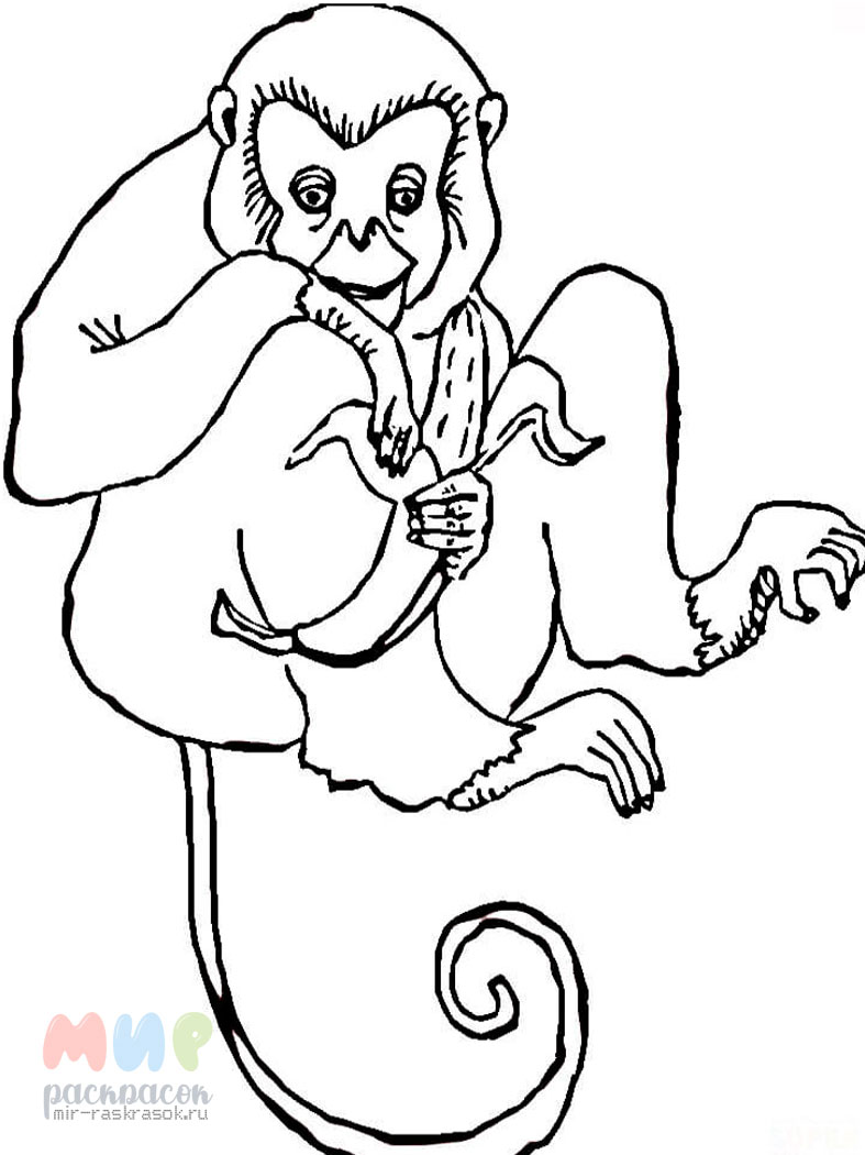 Раскраска обезьянка с бананами | вороковский.рф