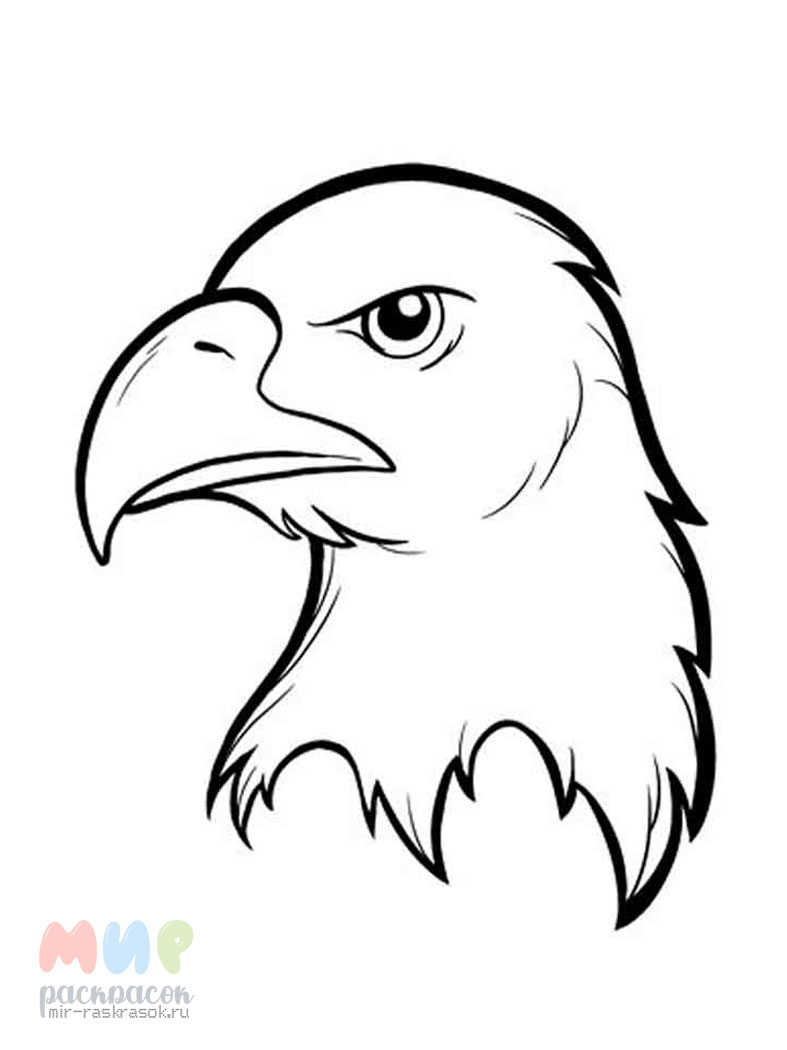 Идеи для срисовки степной орел (90 фото)