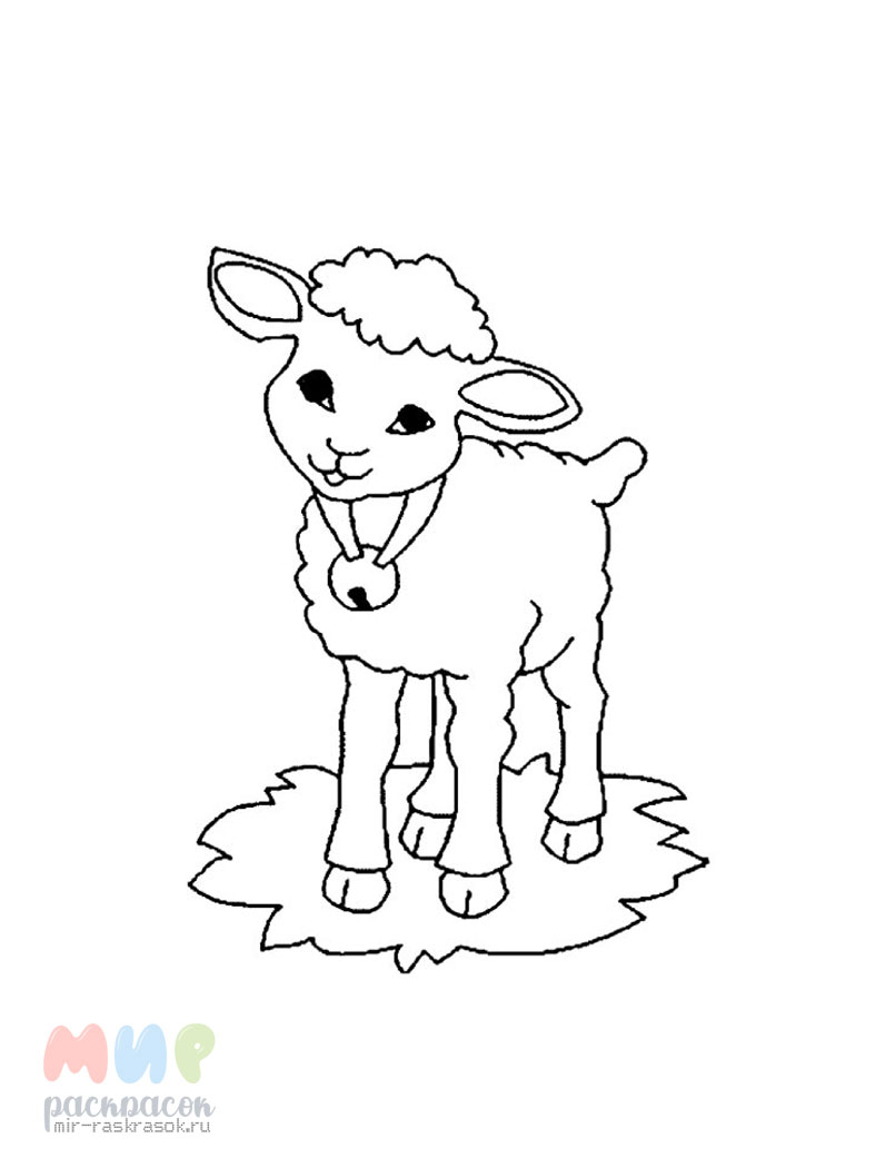 Раскраска овечка с ягнёнком ♥ Онлайн и Распечатать Бесплатно!