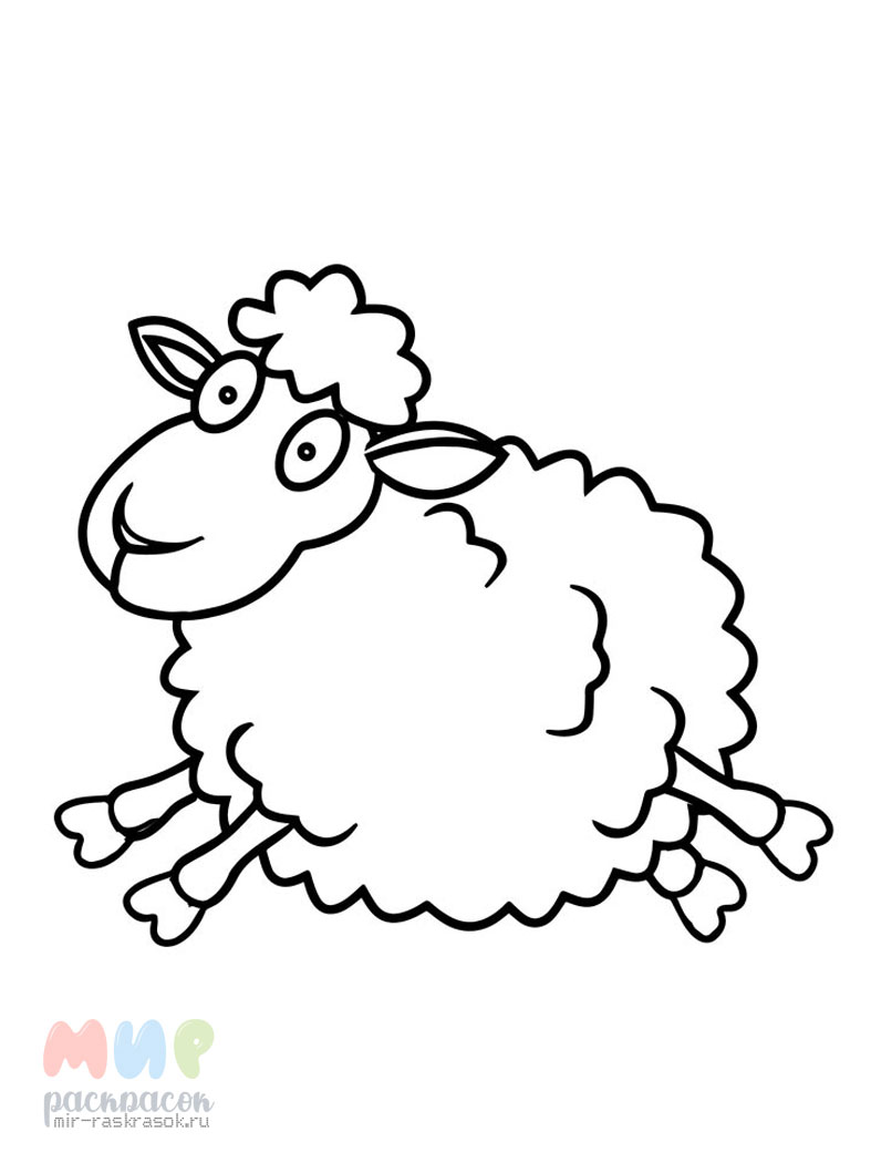 Маленькая овечка — раскраска