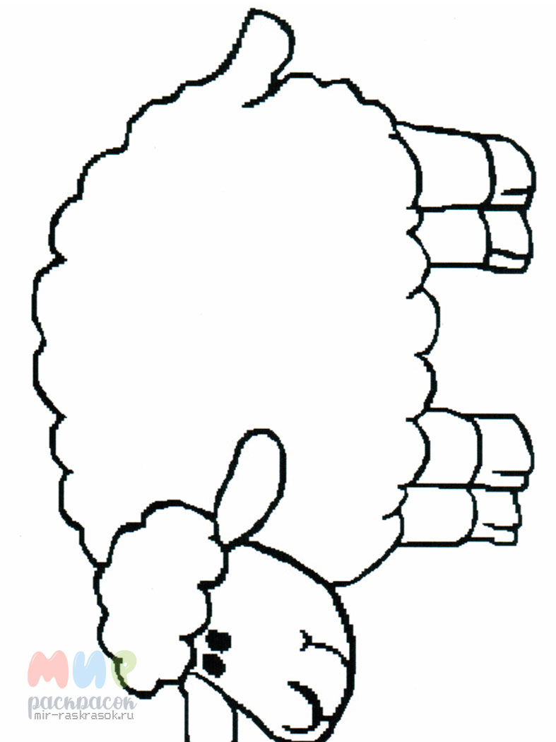 Раскраска овечка для детей распечатать