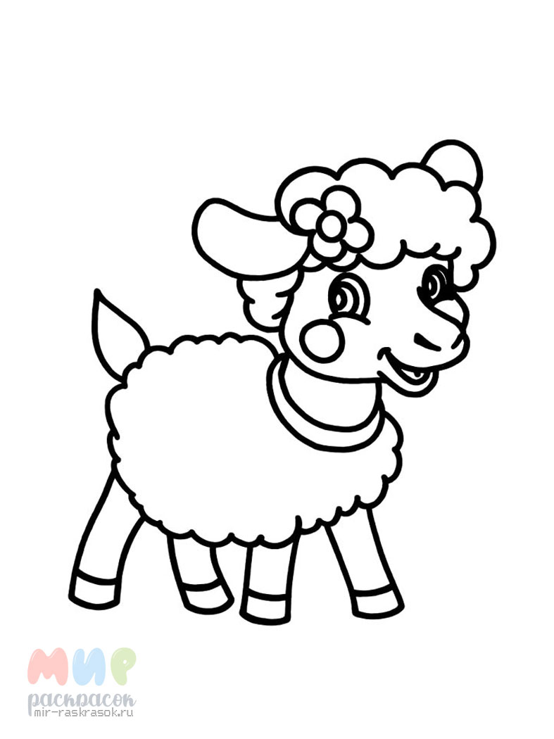 Раскраски овечек и козочек. Раскраски овец и коз