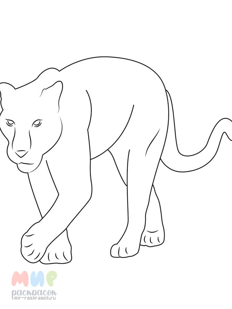 Пантера для рисования