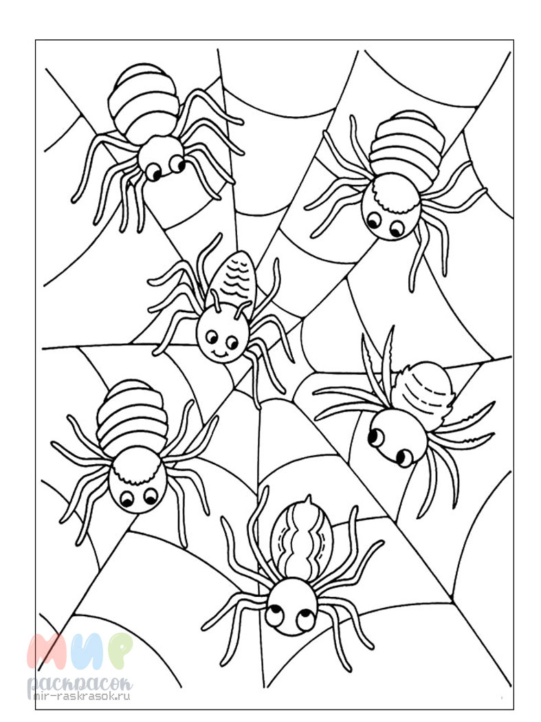 Раскраска человек-паук простая картинка распечатать | Spider man
