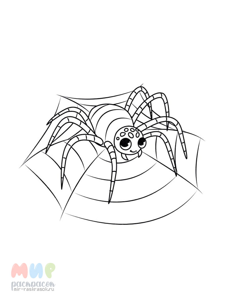 Раскраски пауков / паучков для детей распечатать на А4 и скачать