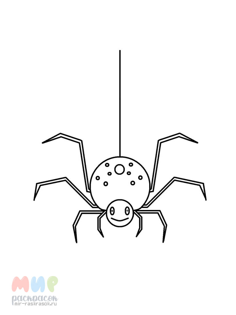Смешной паук рисунок