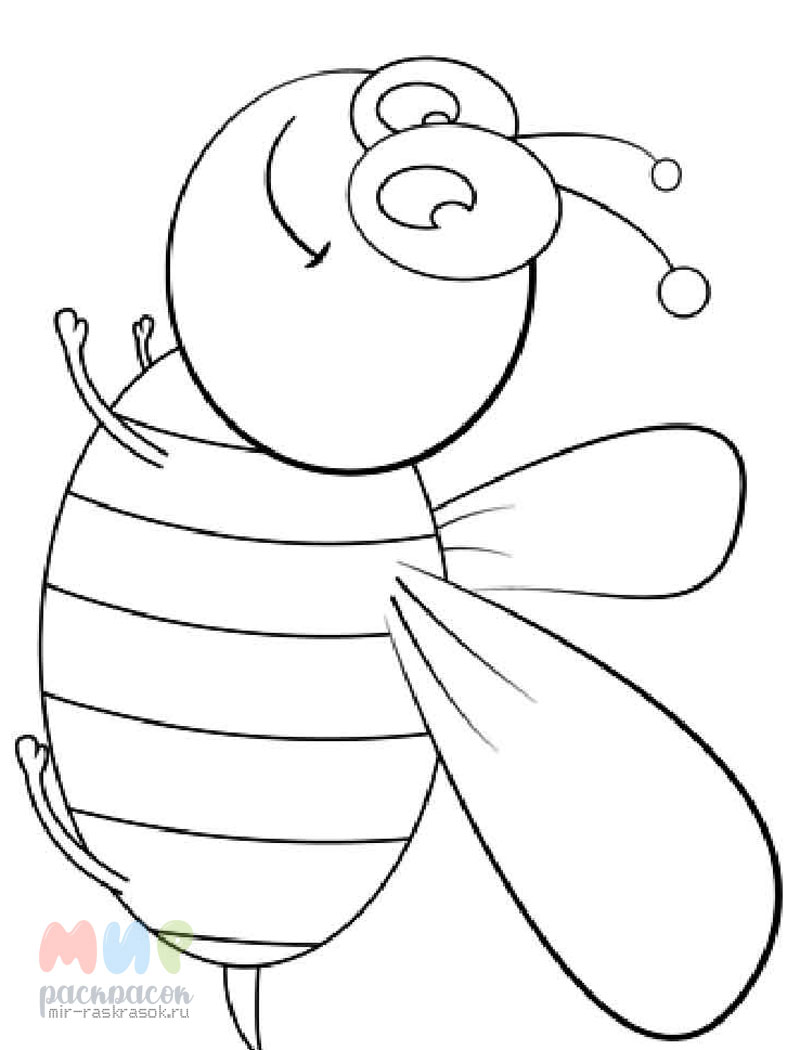 Пчела. Раскраска с цветным контуром
