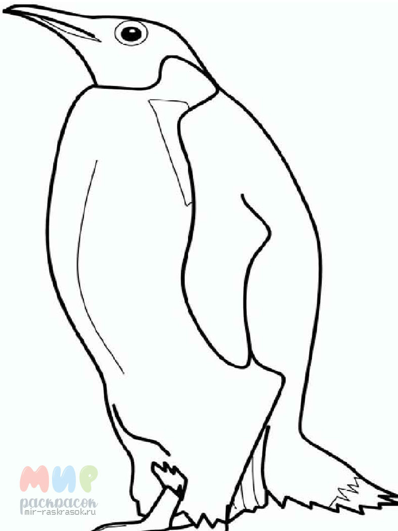 Раскраски пингвины: Анимированные картинки и гифки