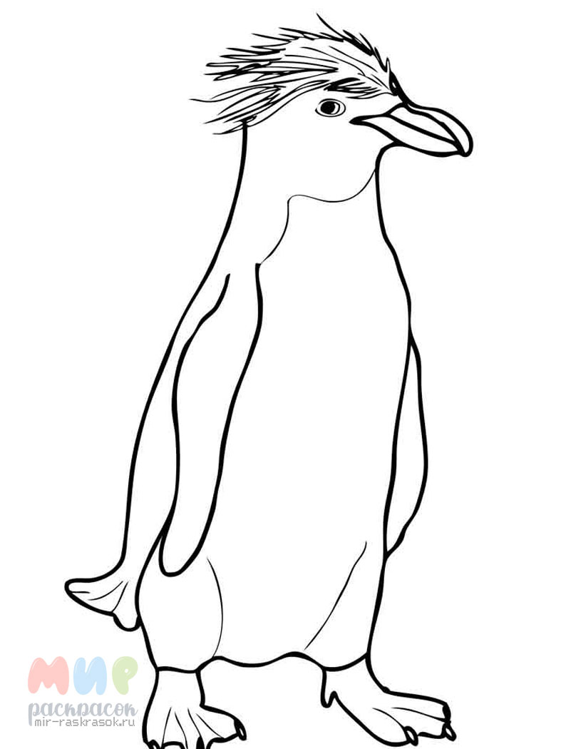 Раскраски Пингвин — Распечатывайте бесплатно