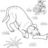 Картинка раскраски 2 - Раскраска Собака человеку друг.
