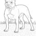 Картинка раскраски 3 - Раскраска Собака человеку друг.