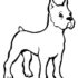 Картинка раскраски 4 - Раскраска Собака человеку друг.
