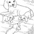Картинка раскраски 5 - Раскраска Собака человеку друг.