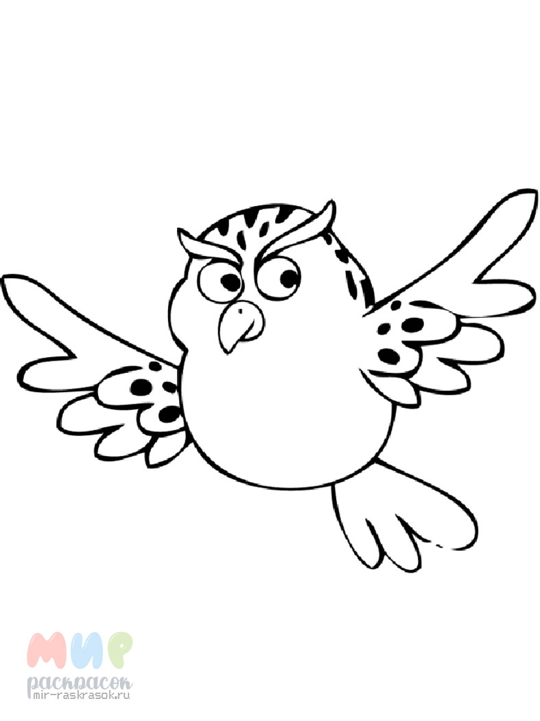 Раскраски Сова. 100 картинок хищных птиц бесплатно