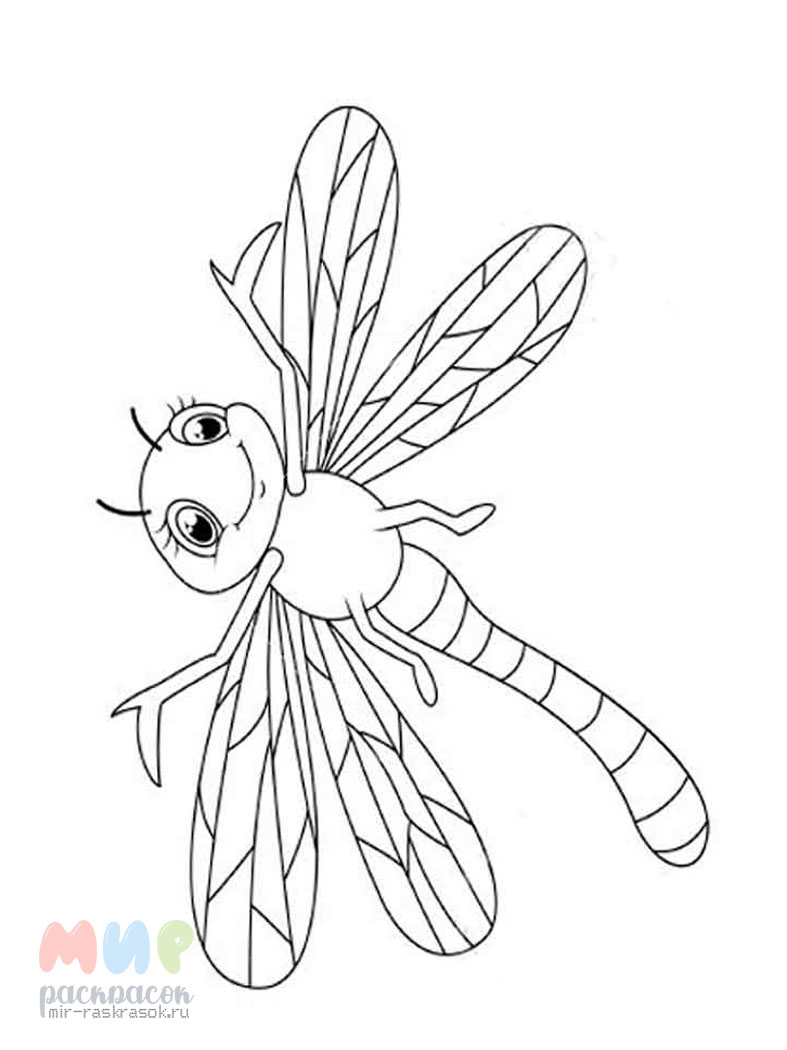 Бабочка и стрекоза с цветами - Насекомые - Раскраски антистре�сс