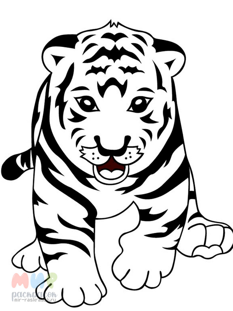 Амурский тигр раскраска для детей - 78 фото
