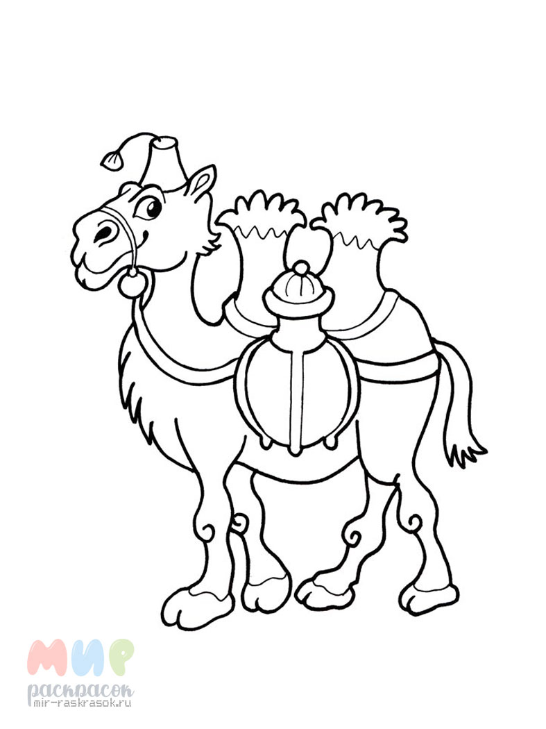 Два верблюда в пустыне детский набор из книжки-раскраски и цветной картинки