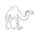 Картинка раскраски 9 - Раскраска Верблюд два горба тут.
