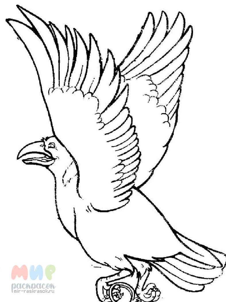 Ворона раскраска (44 фото)