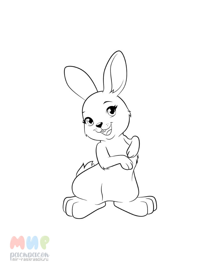 Рисунок заяц для детей раскраска