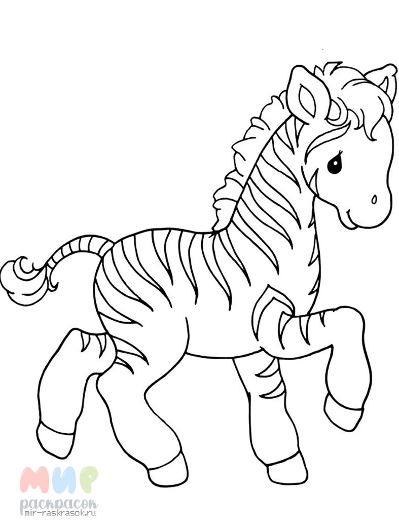 Зебра - Животные - Раскраски антистресс