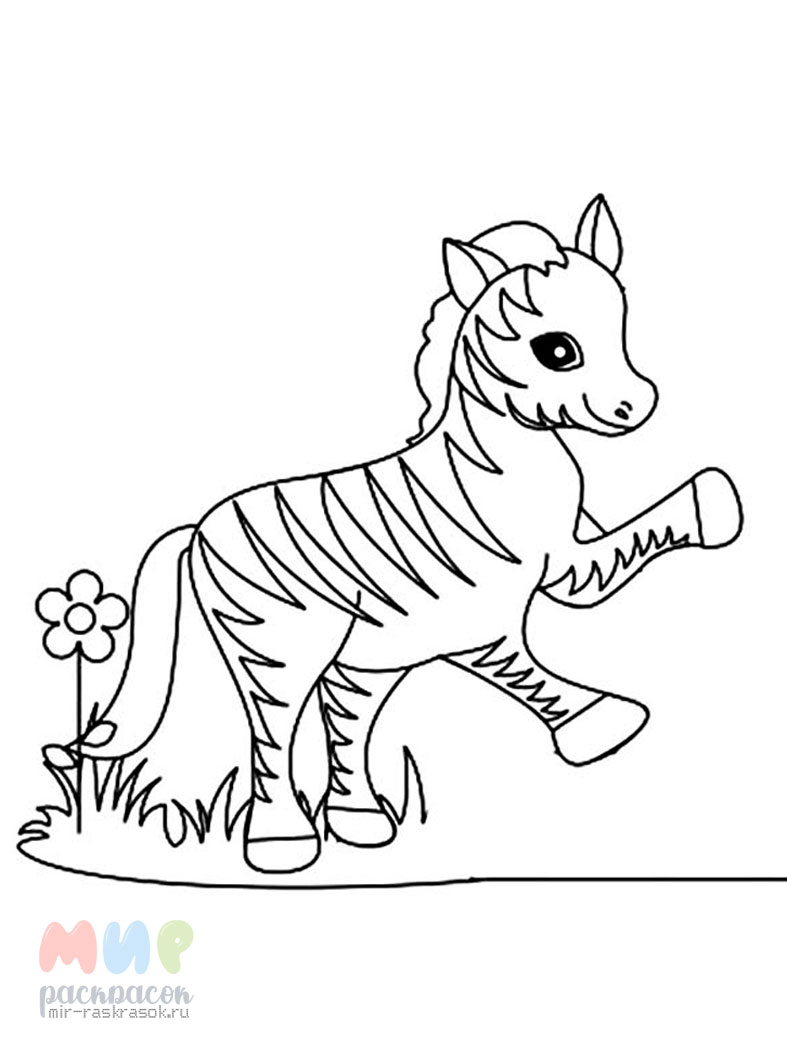 мультяшная зебра