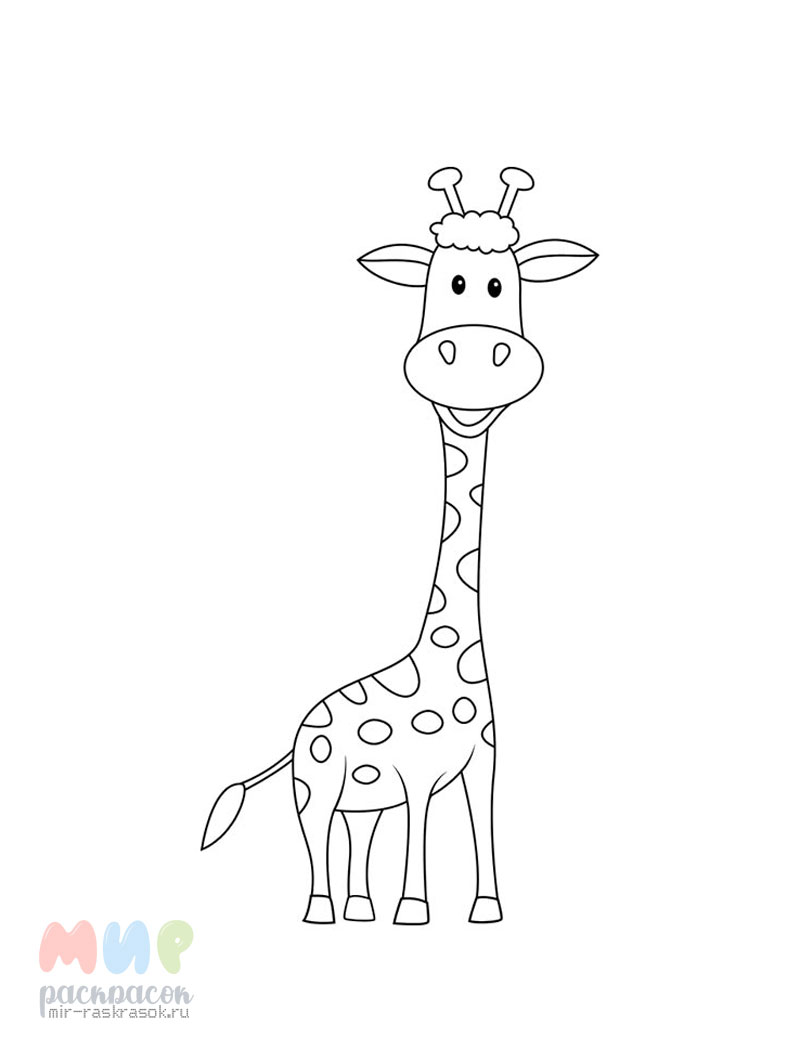 Стоковые иллюстрации по запросу Раскраска жираф