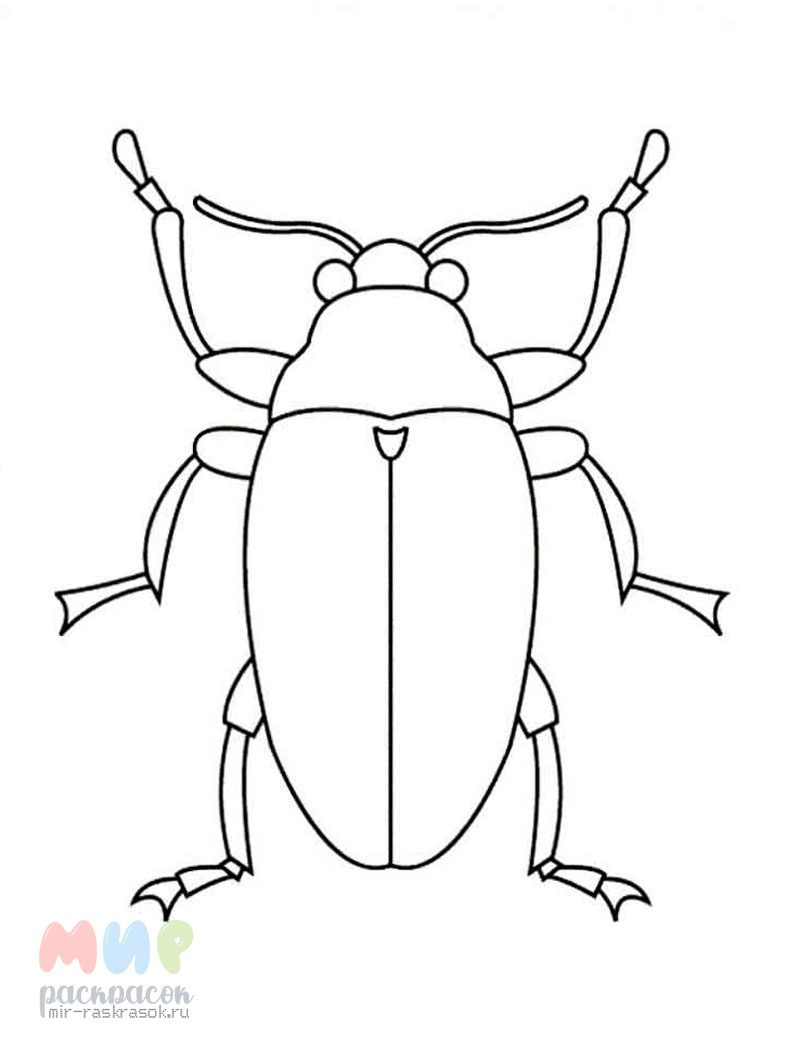 Рисунки жуков для раскраски