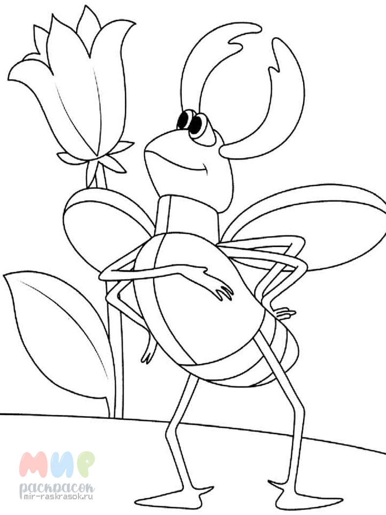 Категория раскраски жуки жучки Раскраска жук олень