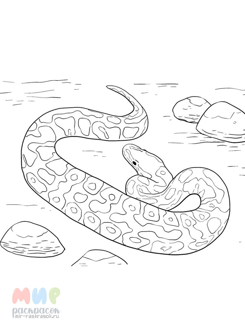 Раскраска Воздушный Змей